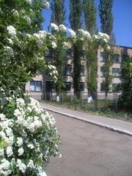 Новий Буг - Останні фото