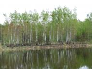 Ліпляве з panoramio.com