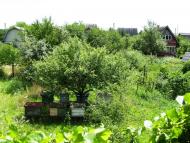 Липівка з panoramio.com