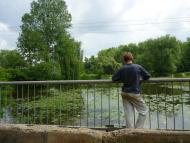 Ободівка - Останні фото