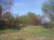 Самусіївка з panoramio.com