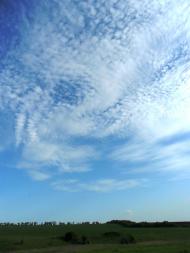 Пилипчатине з panoramio.com