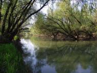 Чоп з panoramio.com