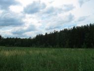 Демченково - Последние фото