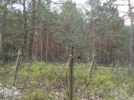 Кашівка з panoramio.com