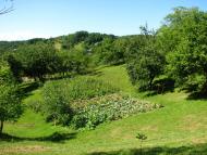 Угля з panoramio.com