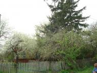 Дроздні з panoramio.com