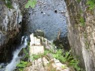 Букове з panoramio.com