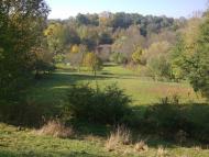 Михалківці з panoramio.com