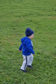 Виженка якою я ЇЇ бачу