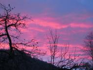 Виженка якою я ЇЇ бачу