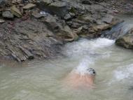 Виженка якою я ЇЇ бачу