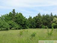 Село Пятківка