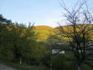 Виженка якою я ЇЇ бачу