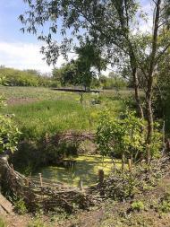 Село Пятківка