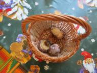 Виженка якою я ЇЇ бачу