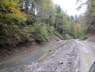 Виженка якою я ЇЇ бачу