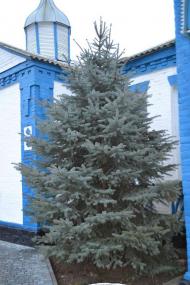 Шпола-географічний центр України