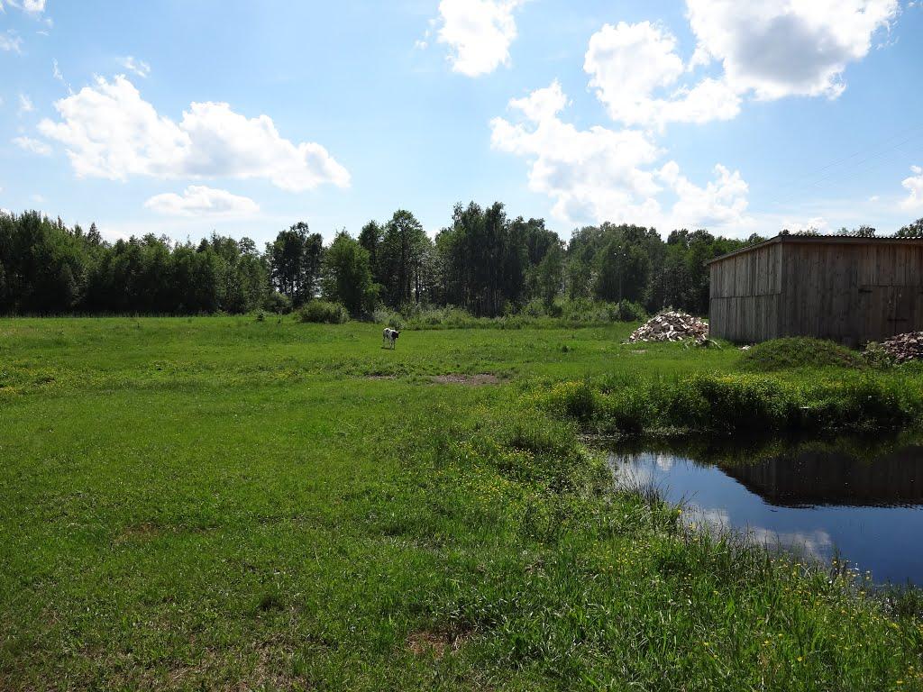 Писарівка з panoramio.com - Писарівка