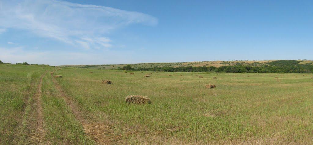 Шовкова Протока з panoramio.com - Шовкова Протока