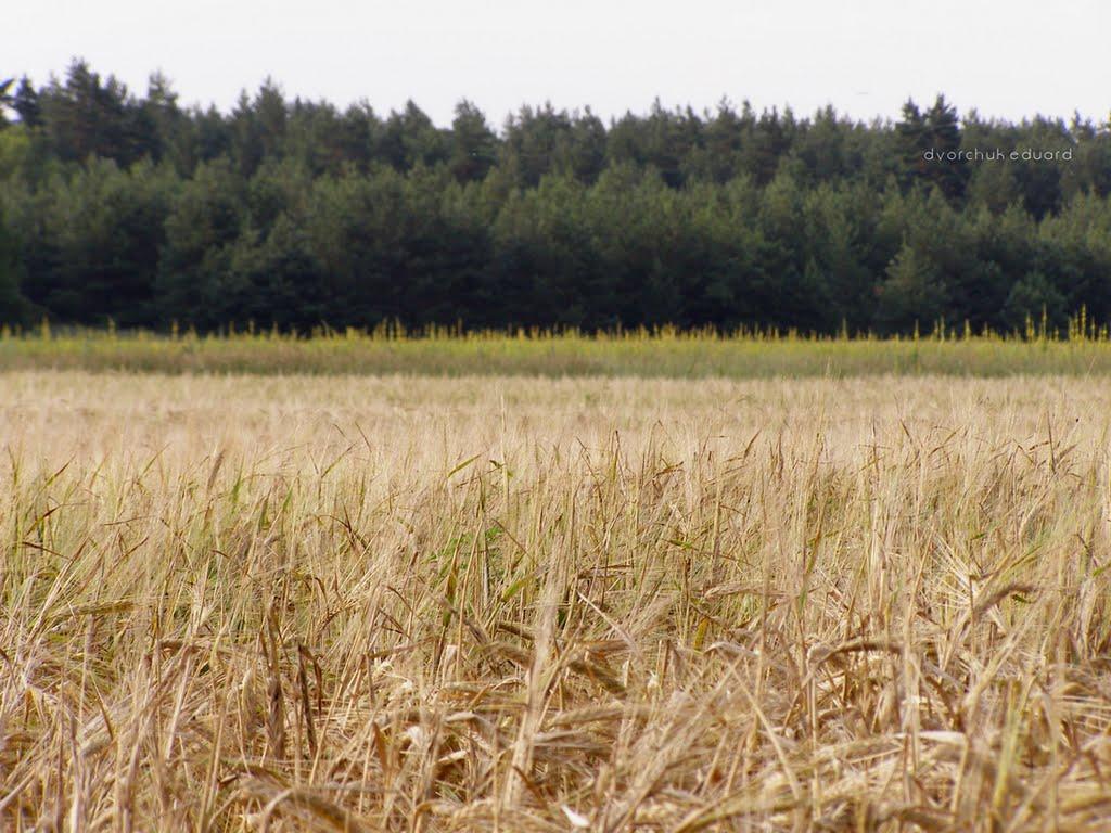 Шедієве з panoramio.com - Шедієве