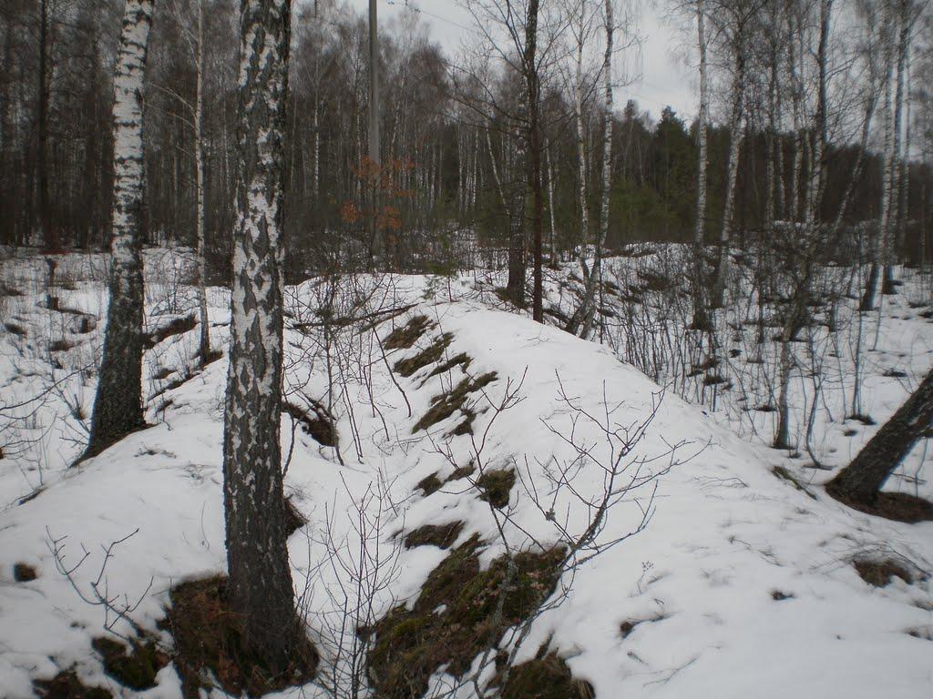 В'язівне з panoramio.com - В'язівне