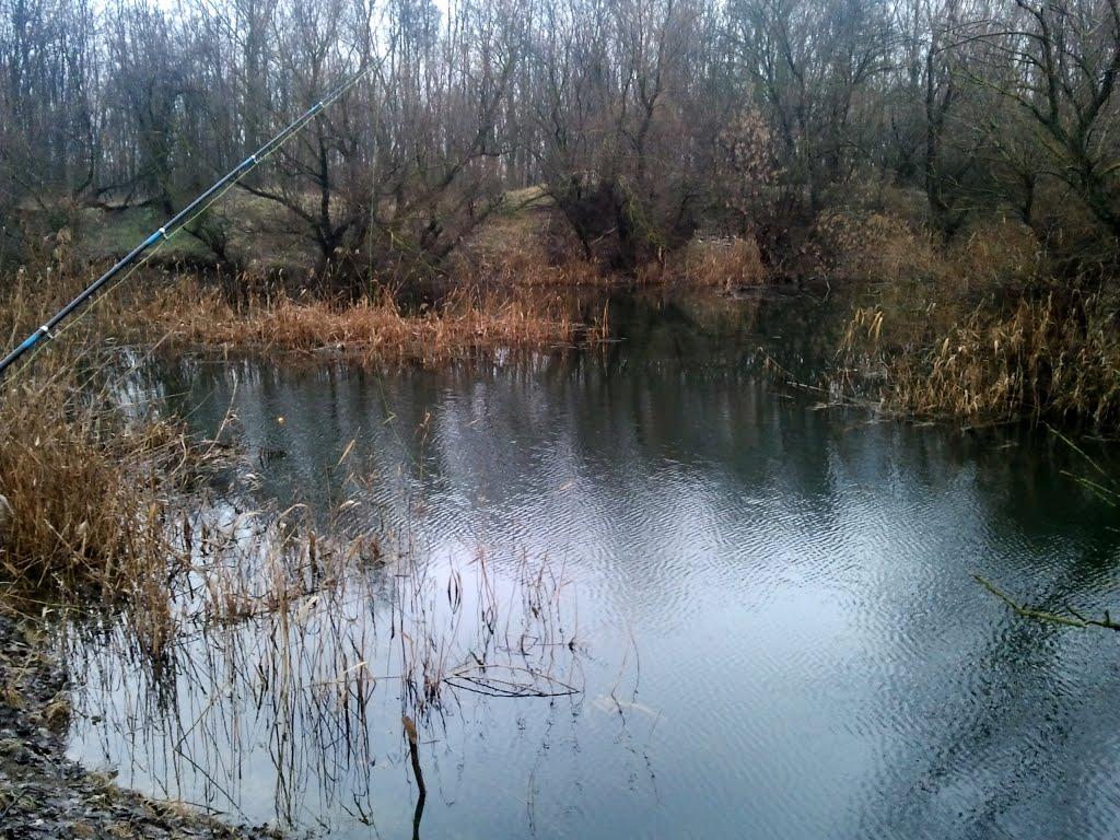 Кислиця з panoramio.com - Кислиця