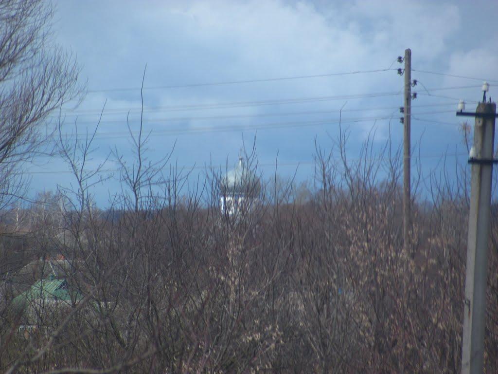 Вільшанське з panoramio.com - Вільшанське