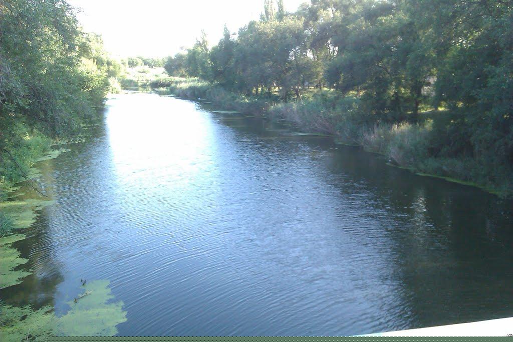 Губків з panoramio.com - Губків