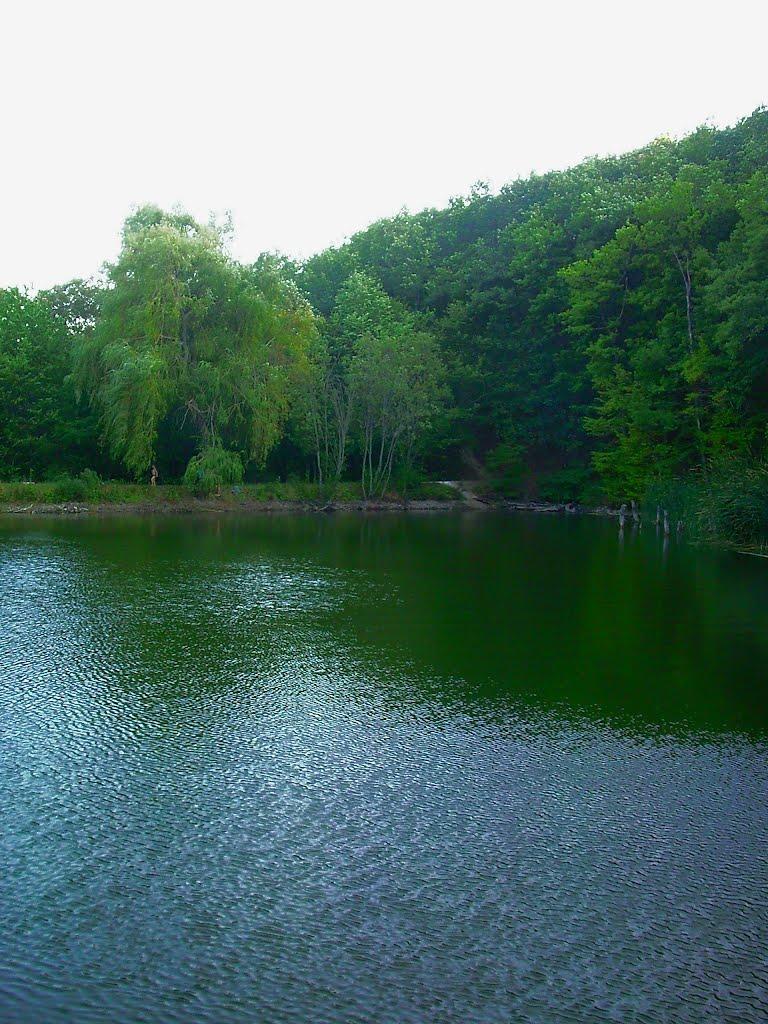 Научний з panoramio.com - Научний