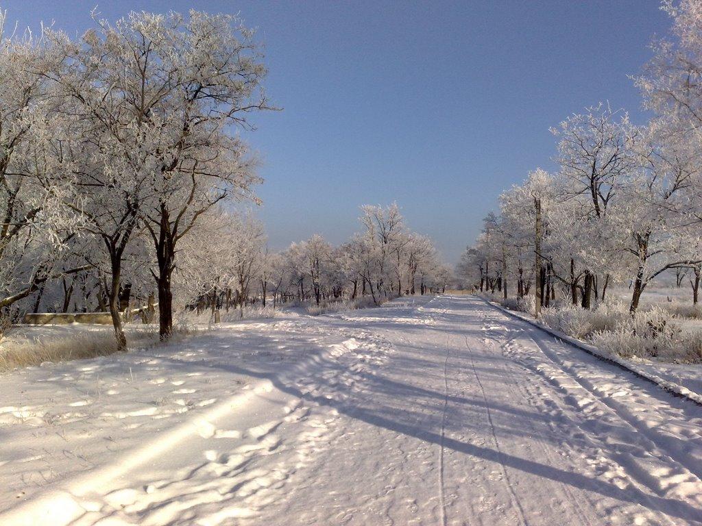 Брянка з panoramio.com (ч.2) - Брянка