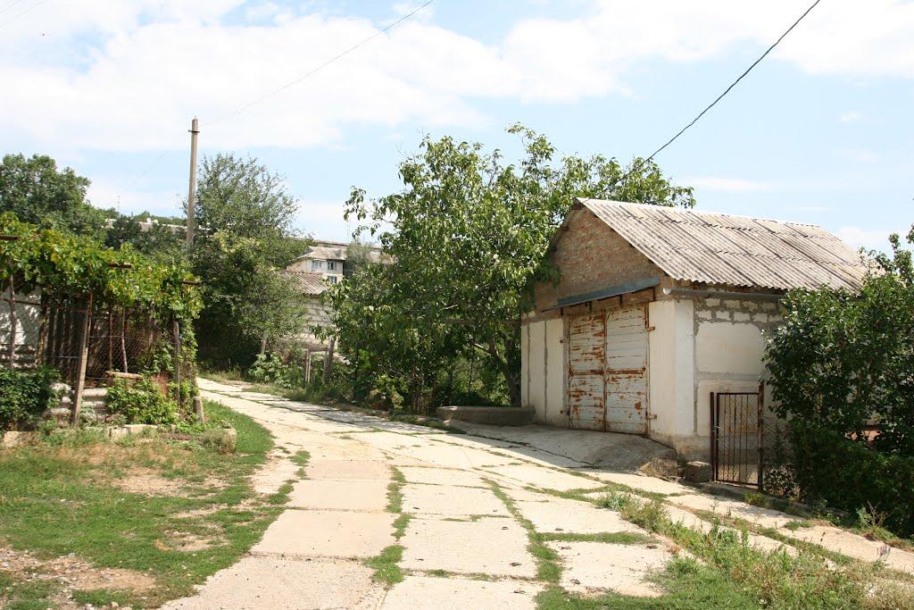 Научний з panoramio.com - Научний