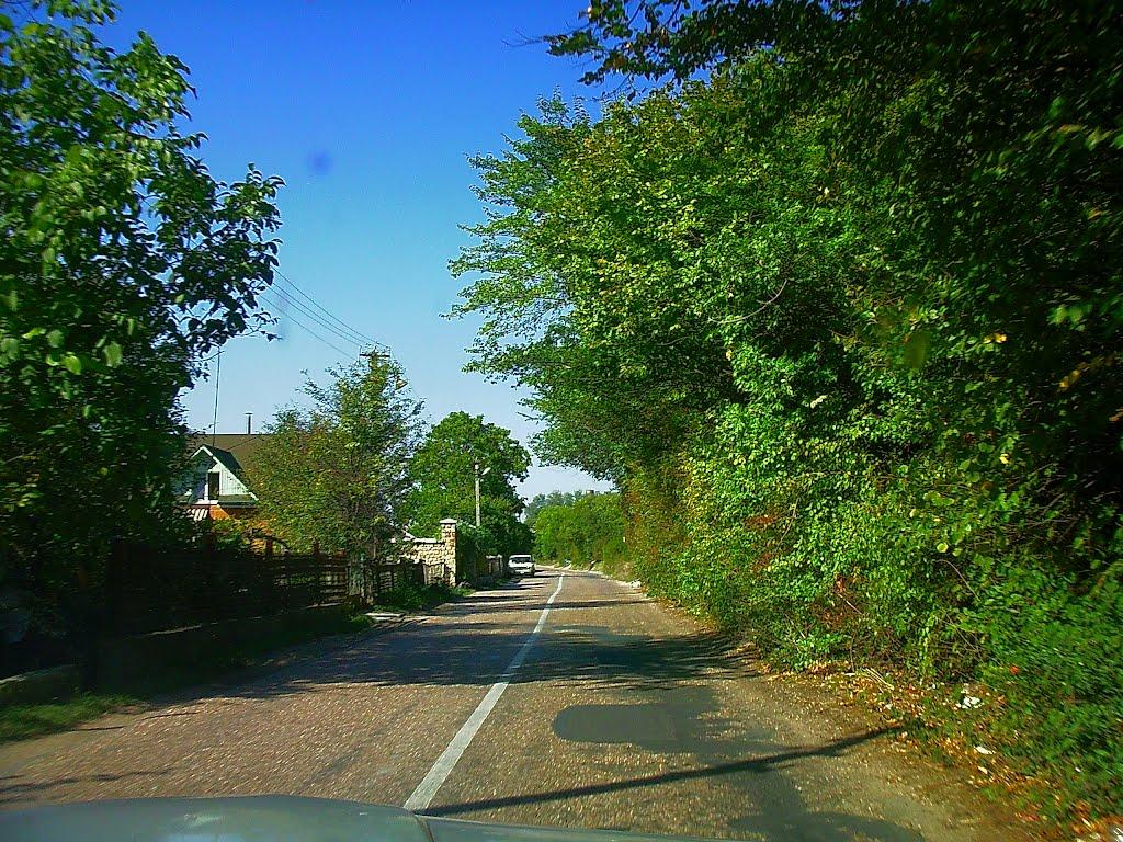 Залісне з panoramio.com (ч.2) - Залісне