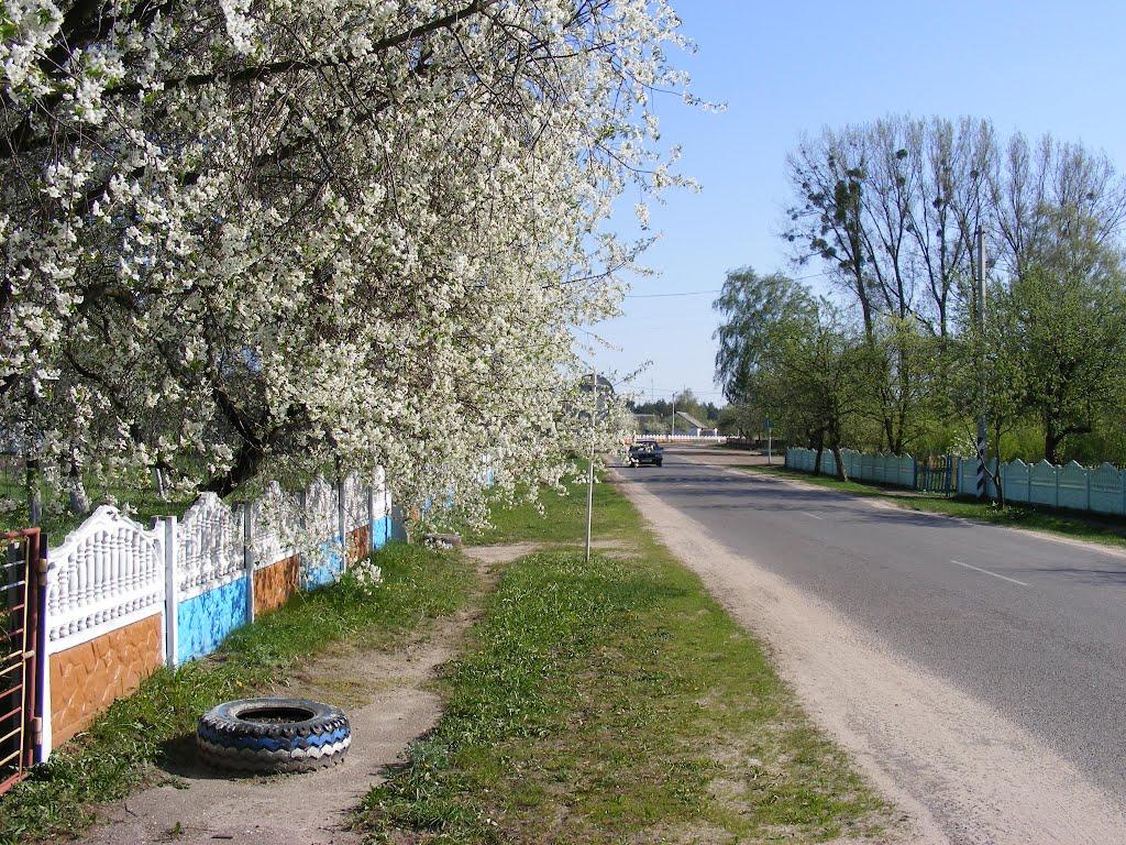 Перешпа з panoramio.com - Перешпа