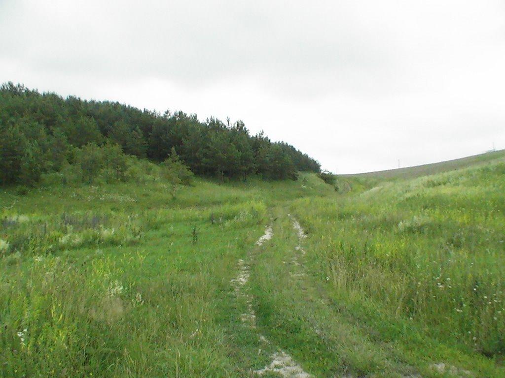 Квіткове з panoramio.com - Квіткове