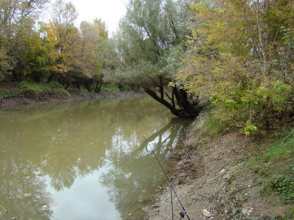 Соломоново з panoramio.com (ч.2) - Соломоново