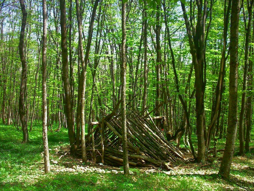 Чайковське з panoramio.com (ч.2) - Чайковское