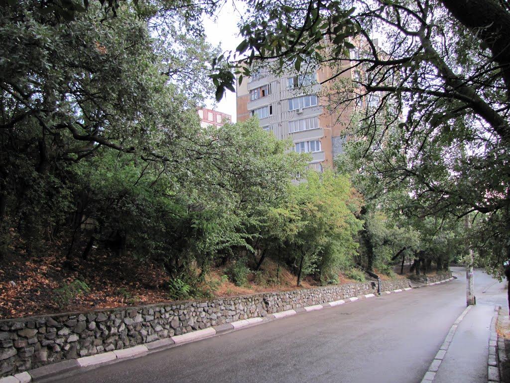 Масандра з panoramio.com - Masandra