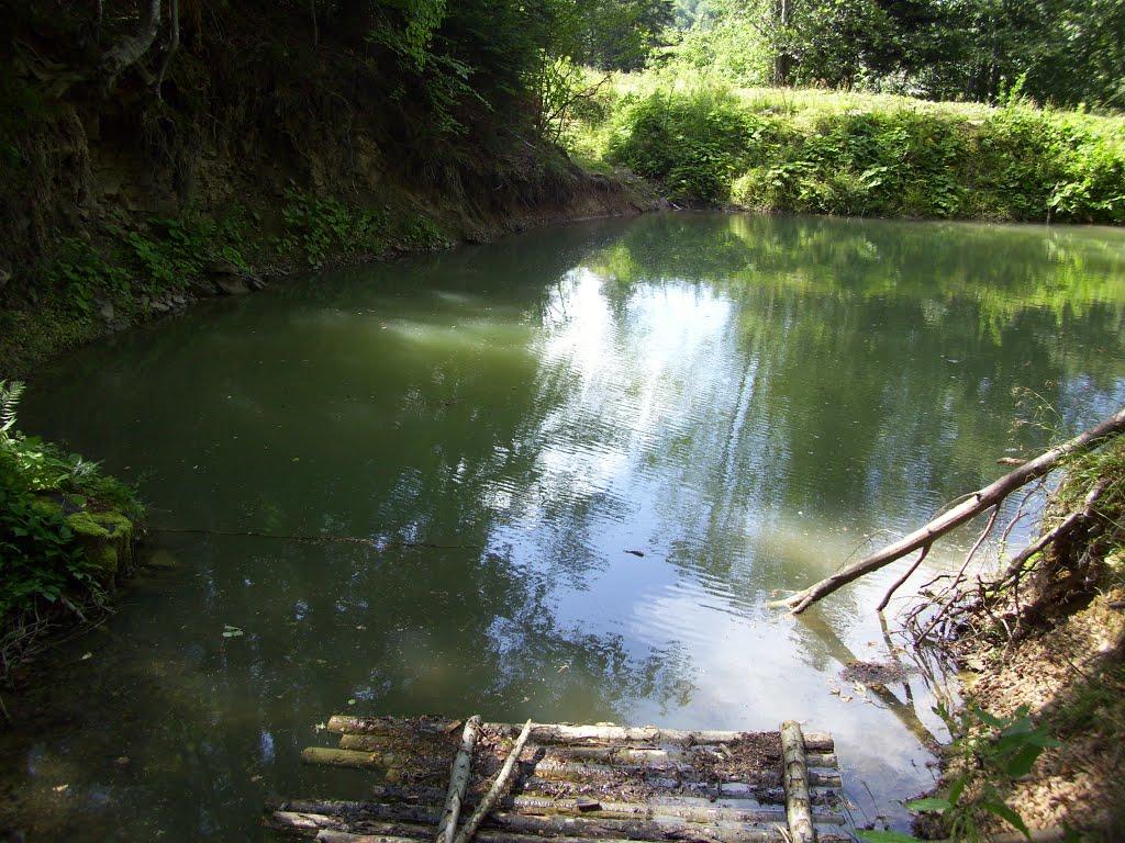 Лужки з panoramio.com - Лужки