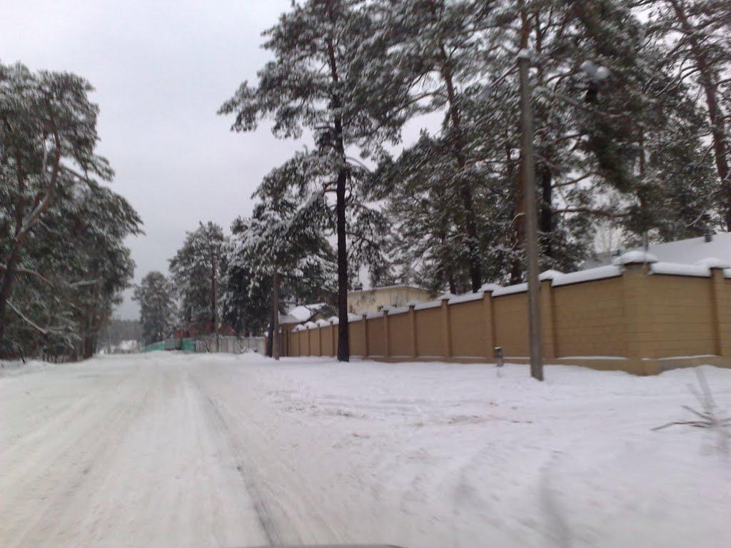 Тетянівка з panoramio.com (ч.2) - Тетянівка