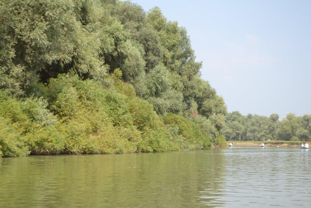 Кілія з panoramio.com (ч.2) - Кілія