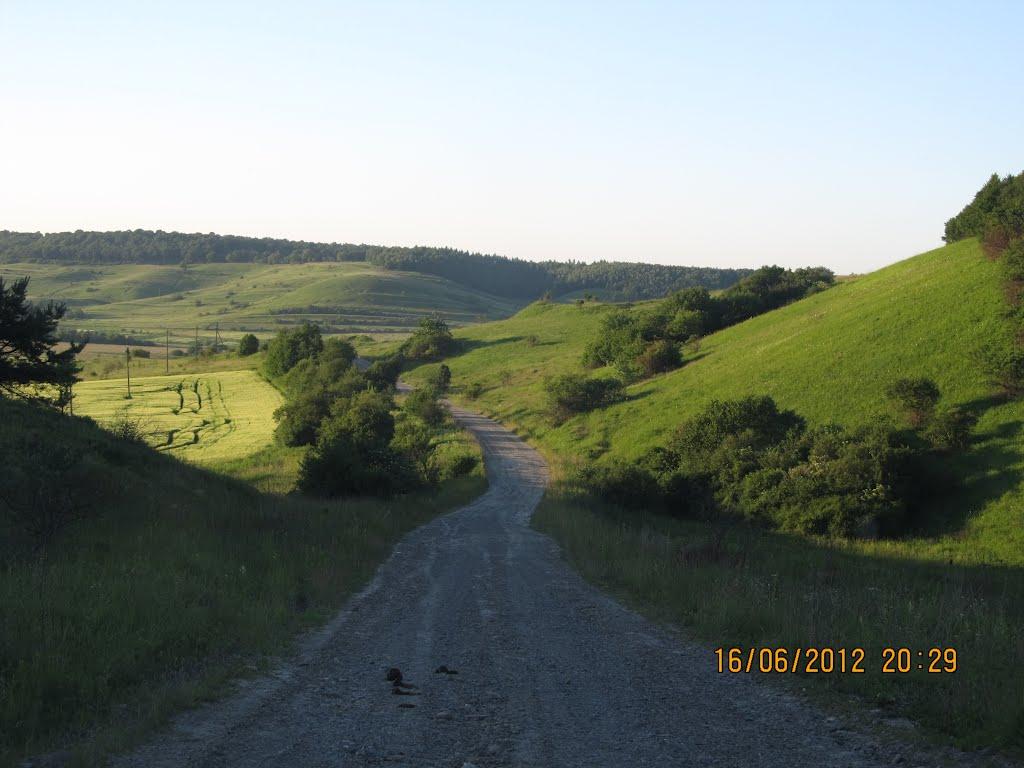 Подусільна з panoramio.com - Подусільна