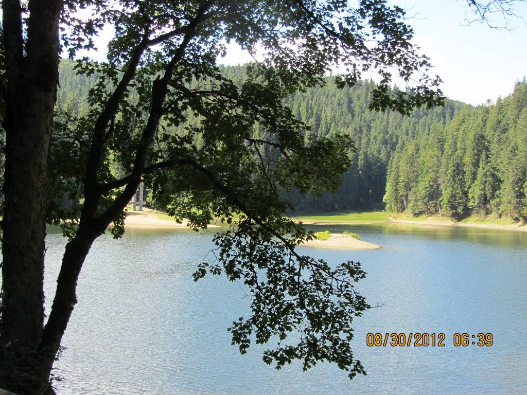 Синевирська Поляна з panoramio.com - Синевирська Поляна