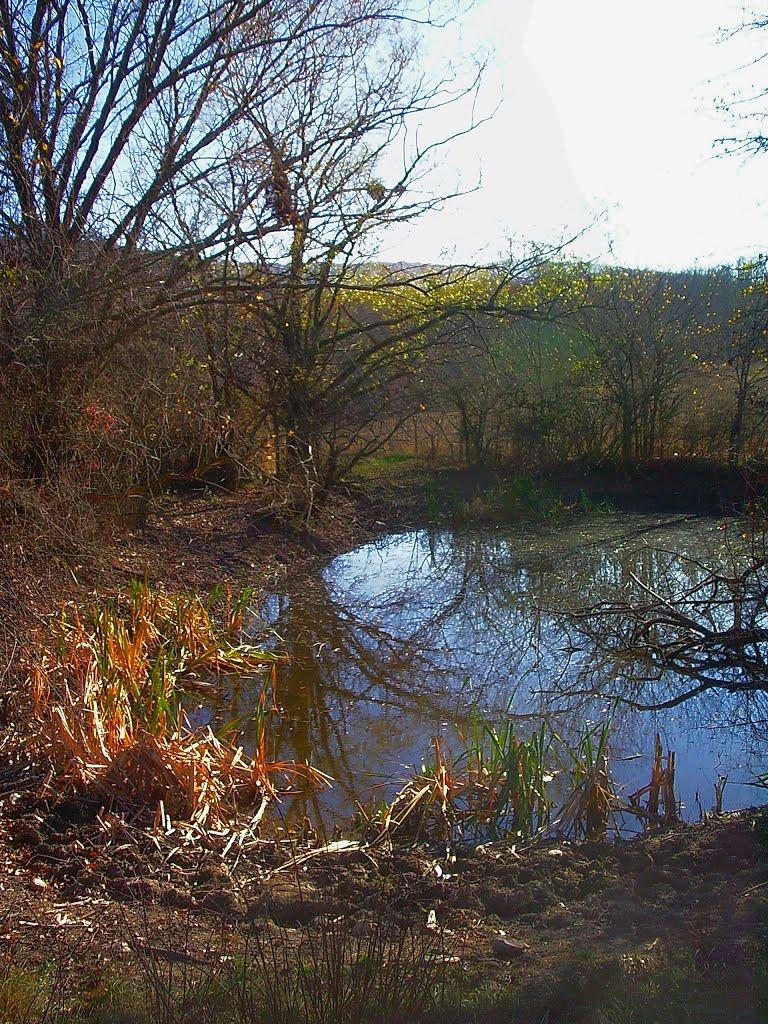 Верхоріччя з panoramio.com - Верхоречье