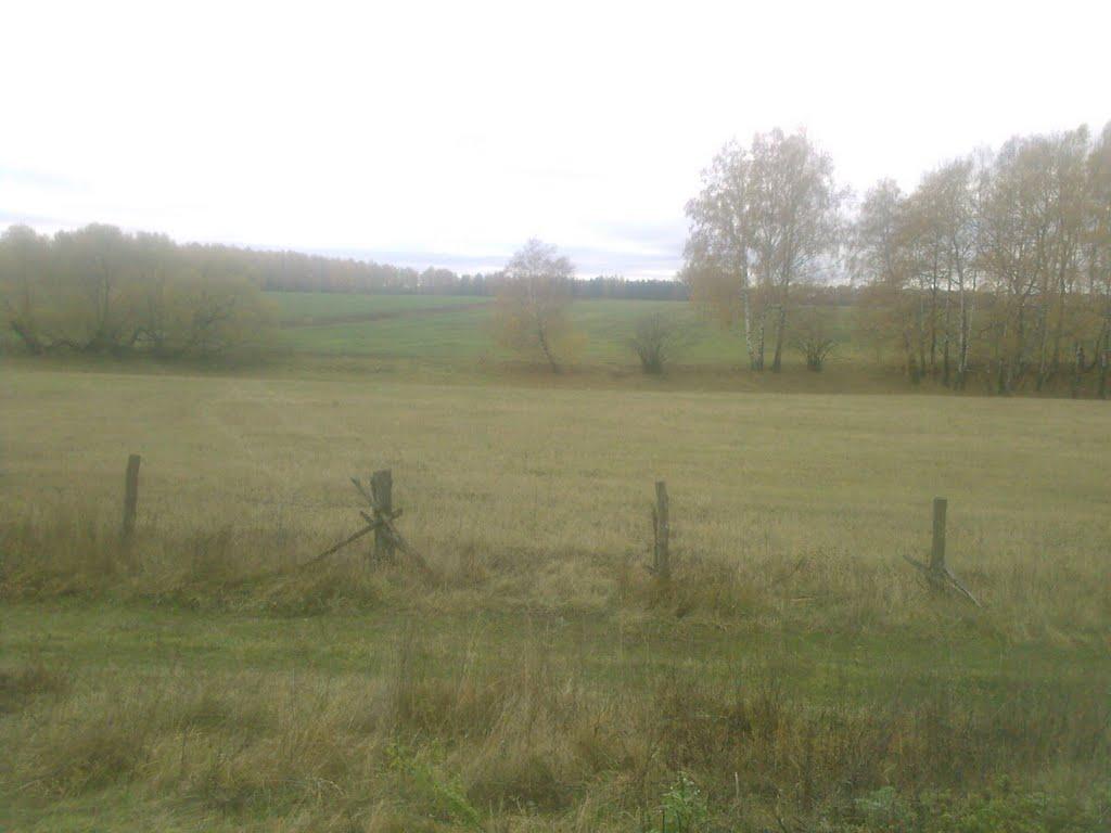 Безкровне з panoramio.com - Безкровне