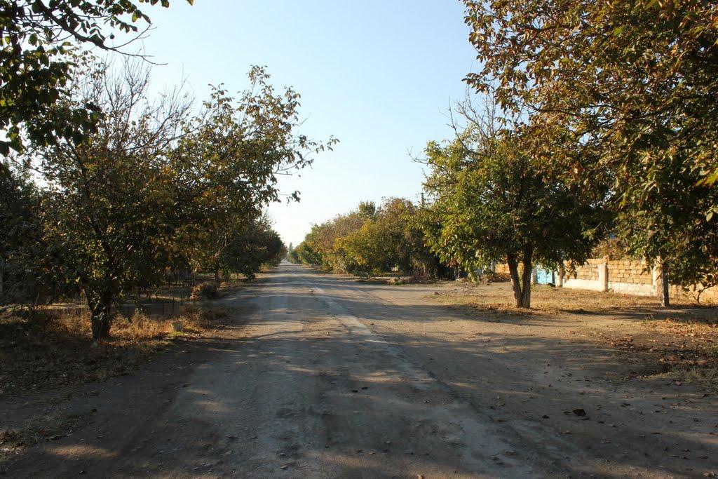 Роздольне з panoramio.com - Роздольне