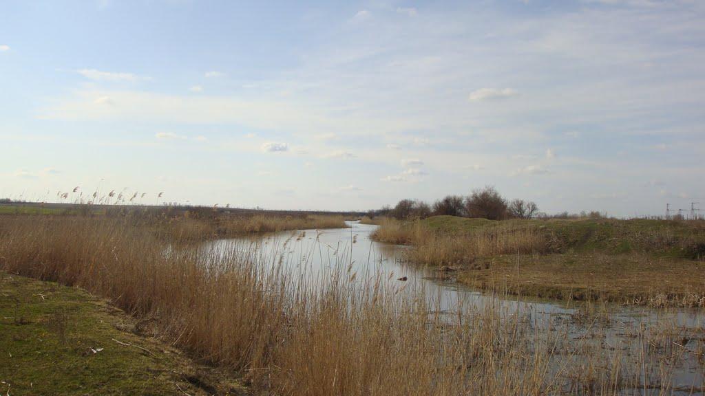 Зачатівка з panoramio.com - Зачатівка