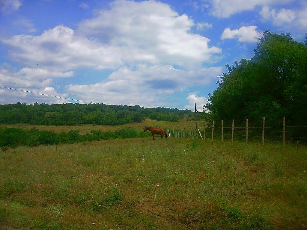 Нагірне з panoramio.com - Нагорное