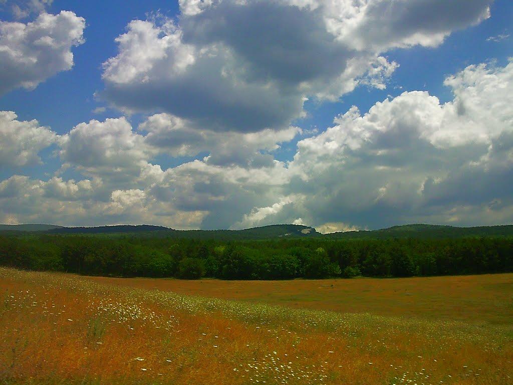 Залісне з panoramio.com (ч.2) - Залісне