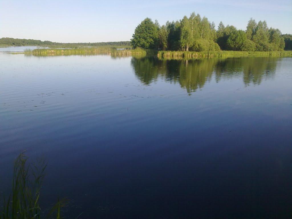 Півнева Гора з panoramio.com - Pivneva Gora